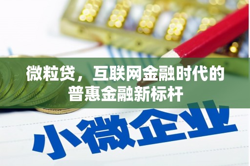 滨海微粒贷，互联网金融时代的普惠金融新标杆