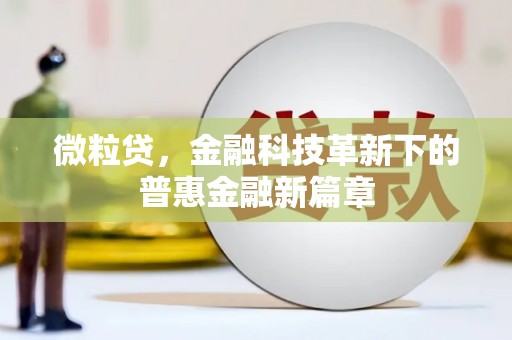 滨海微粒贷，金融科技革新下的普惠金融新篇章