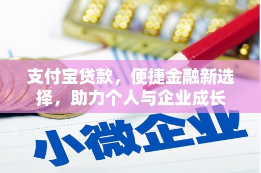 滨海支付宝贷款，便捷金融新选择，助力个人与企业成长