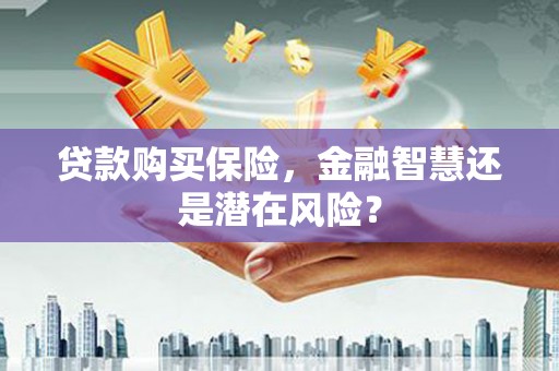 滨海贷款购买保险，金融智慧还是潜在风险？