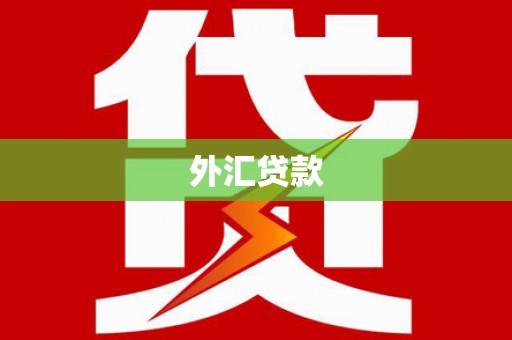 滨海外汇贷款