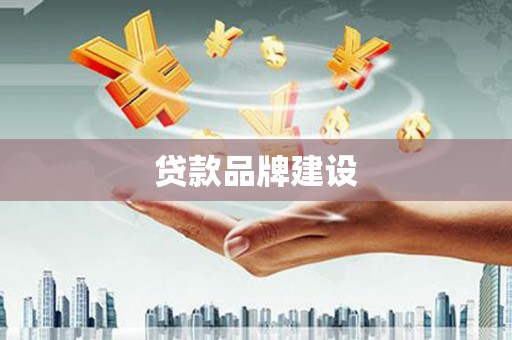滨海贷款品牌建设
