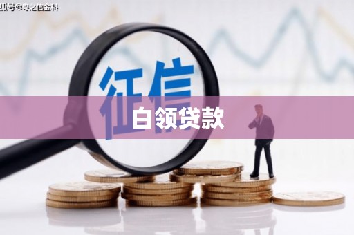 滨海白领贷款