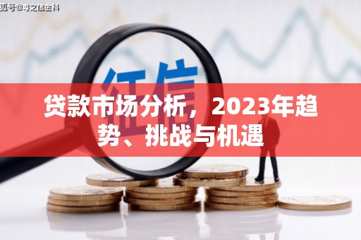 滨海贷款市场分析，2023年趋势、挑战与机遇