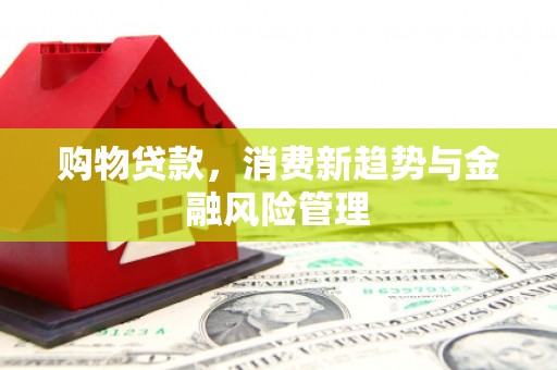 滨海购物贷款，消费新趋势与金融风险管理