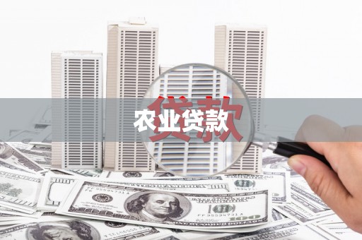 滨海农业贷款