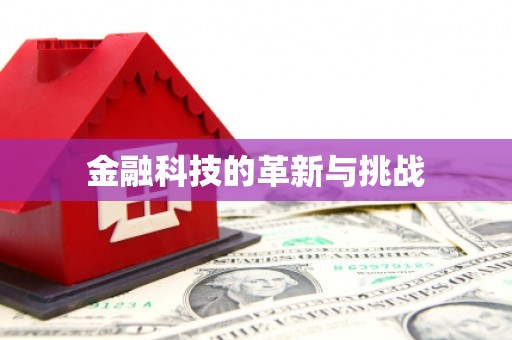 滨海金融科技的革新与挑战