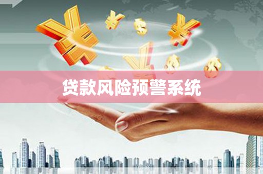 滨海贷款风险预警系统