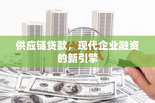 滨海供应链贷款，现代企业融资的新引擎