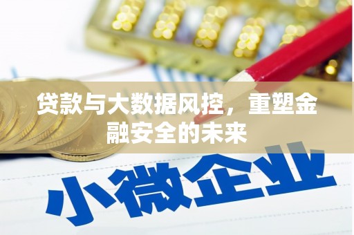 滨海贷款与大数据风控，重塑金融安全的未来