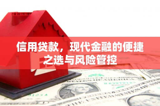 滨海信用贷款，现代金融的便捷之选与风险管控