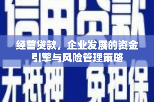 滨海经营贷款，企业发展的资金引擎与风险管理策略