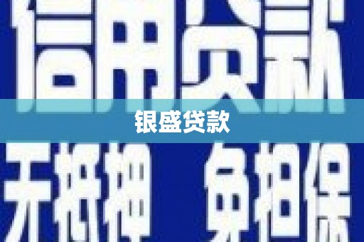 滨海银盛贷款