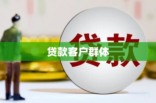 滨海贷款客户群体