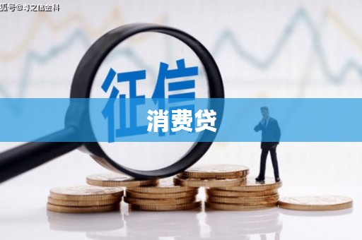 滨海消费贷