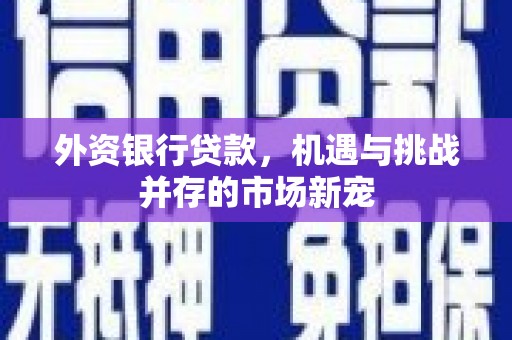 滨海外资银行贷款，机遇与挑战并存的市场新宠