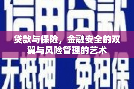 滨海贷款与保险，金融安全的双翼与风险管理的艺术
