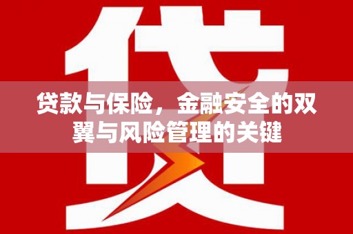 滨海贷款与保险，金融安全的双翼与风险管理的关键