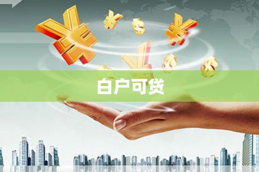 滨海白户可贷