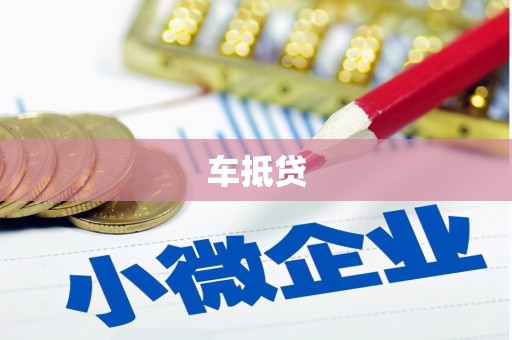 滨海车抵贷