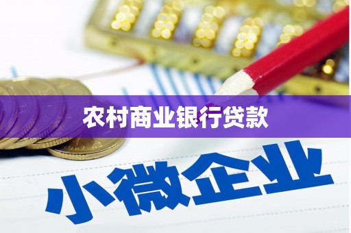 滨海农村商业银行贷款