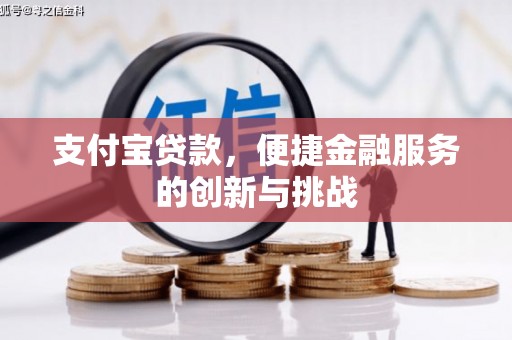 滨海支付宝贷款，便捷金融服务的创新与挑战