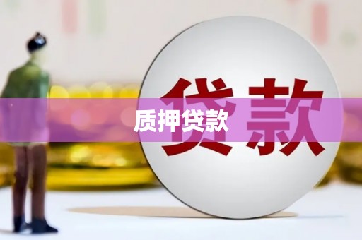 滨海质押贷款