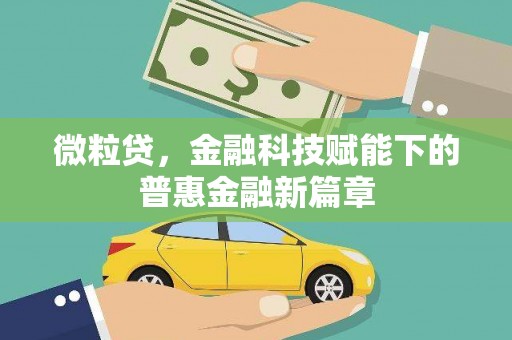滨海微粒贷，金融科技赋能下的普惠金融新篇章
