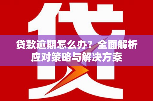 滨海贷款逾期怎么办？全面解析应对策略与解决方案
