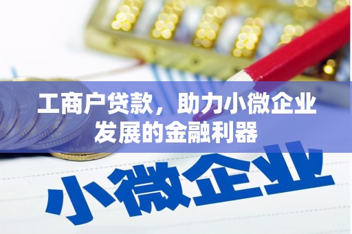 滨海工商户贷款，助力小微企业发展的金融利器