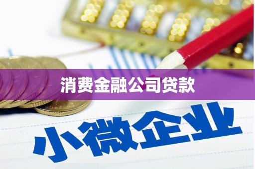 滨海消费金融公司贷款