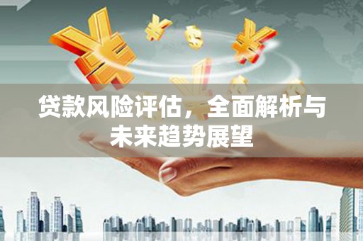 滨海贷款风险评估，全面解析与未来趋势展望