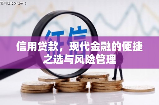 滨海信用贷款，现代金融的便捷之选与风险管理