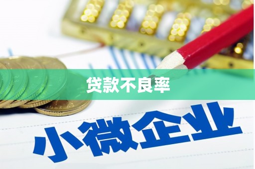 滨海贷款不良率