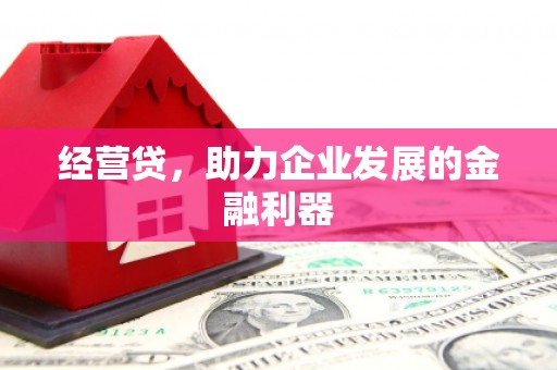 滨海经营贷，助力企业发展的金融利器