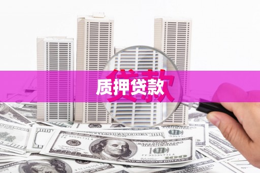 滨海质押贷款