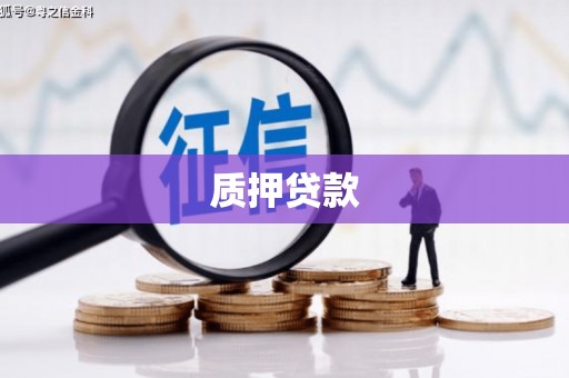 滨海质押贷款