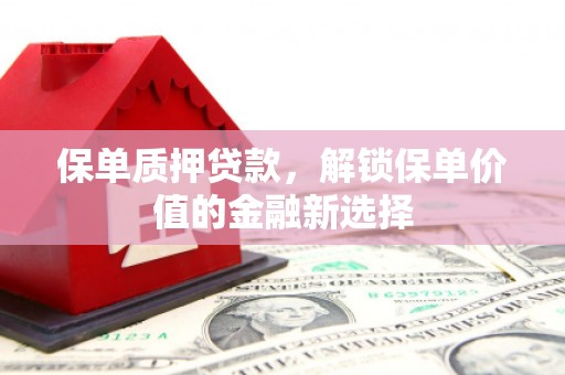 滨海保单质押贷款，解锁保单价值的金融新选择