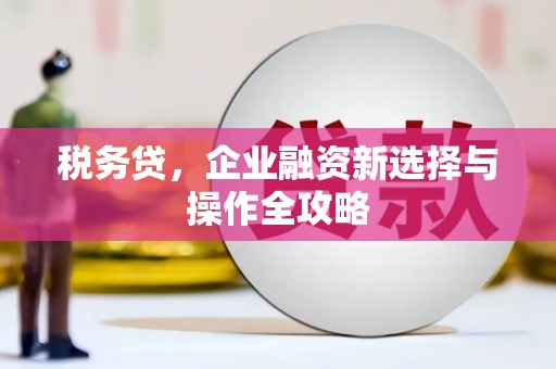 滨海税务贷，企业融资新选择与操作全攻略