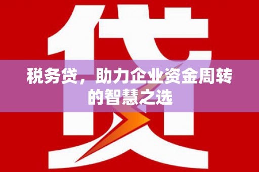 滨海税务贷，助力企业资金周转的智慧之选