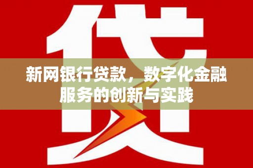 滨海新网银行贷款，数字化金融服务的创新与实践