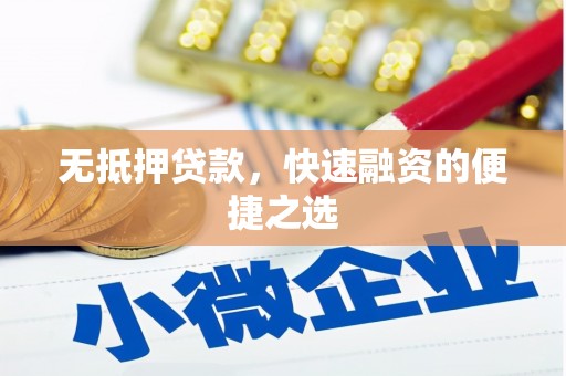 滨海无抵押贷款，快速融资的便捷之选