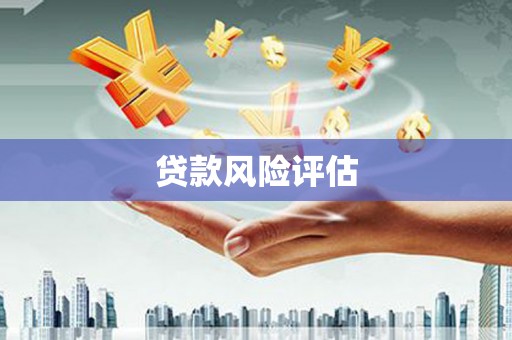 滨海贷款风险评估