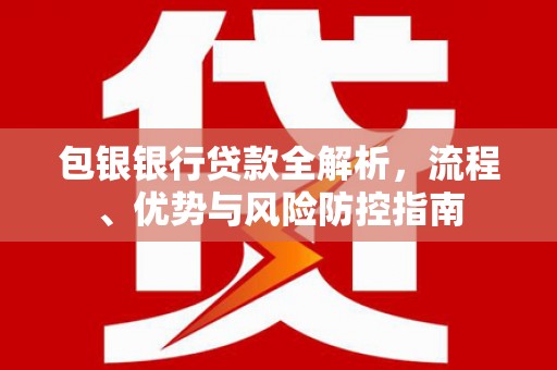 滨海包银银行贷款全解析，流程、优势与风险防控指南