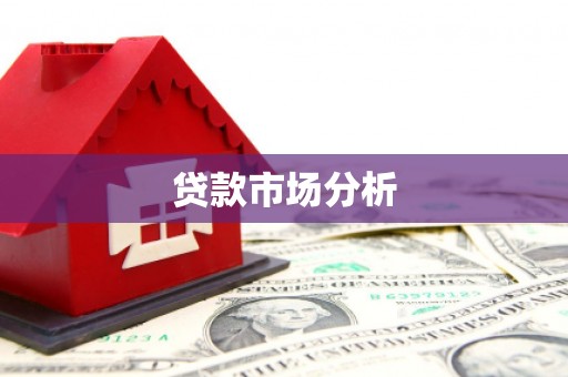 滨海贷款市场分析