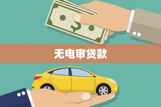 滨海无电审贷款
