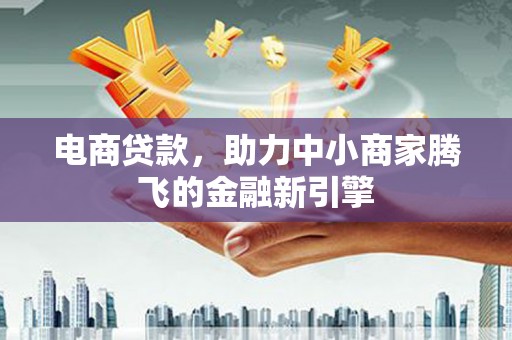 滨海电商贷款，助力中小商家腾飞的金融新引擎