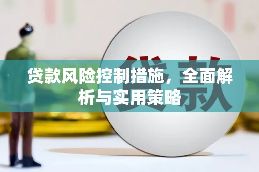 滨海贷款风险控制措施，全面解析与实用策略