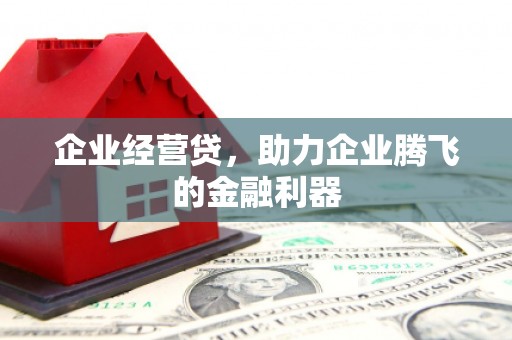 滨海企业经营贷，助力企业腾飞的金融利器