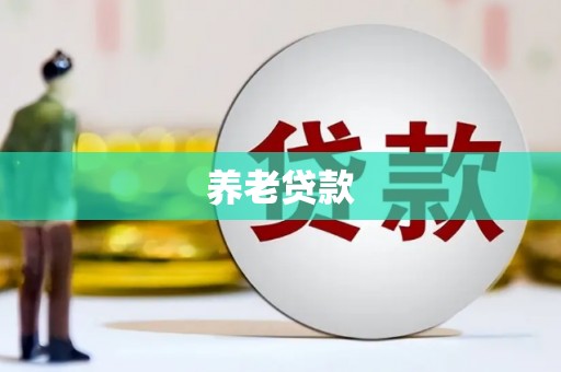 滨海养老贷款